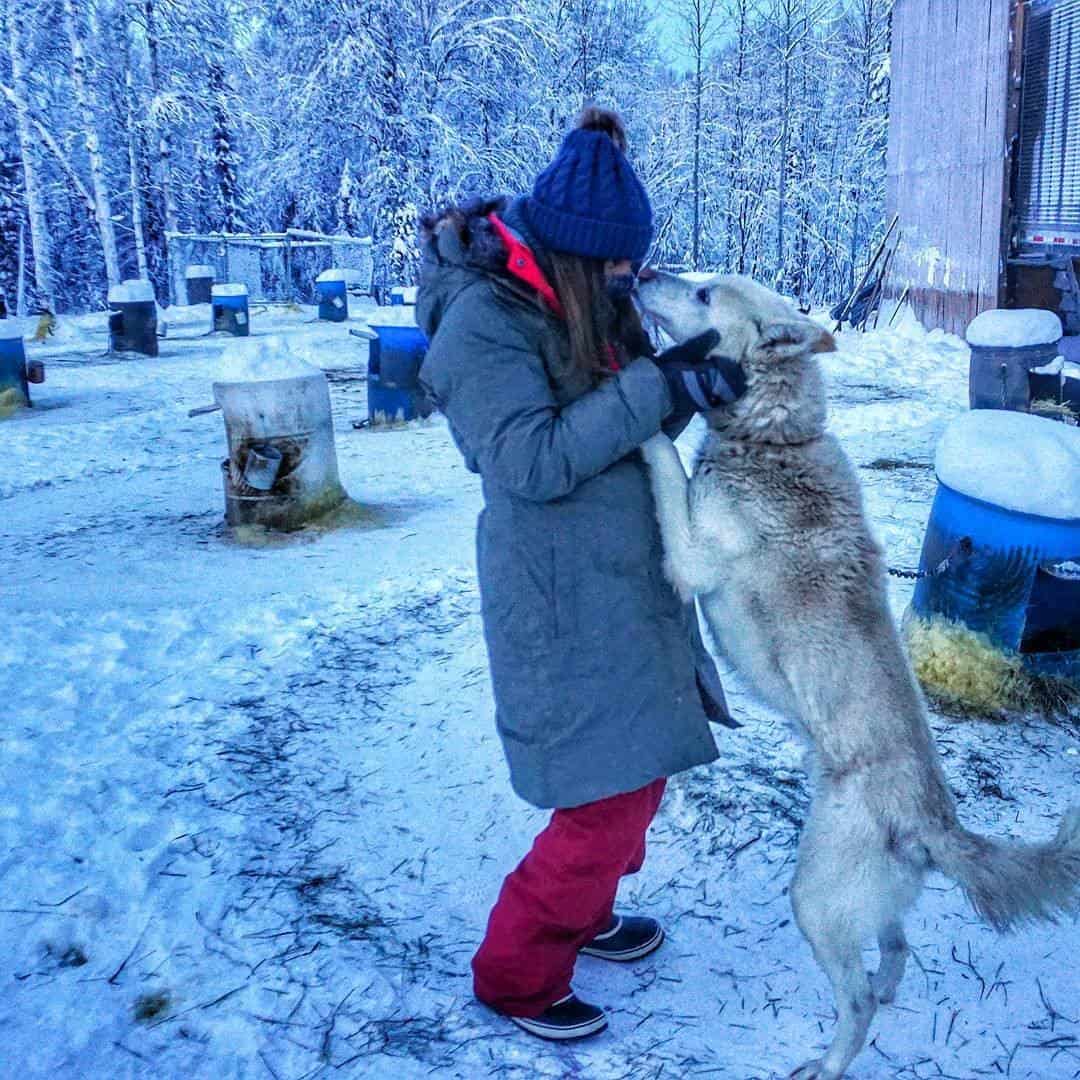 dog kisses things to do in alaska