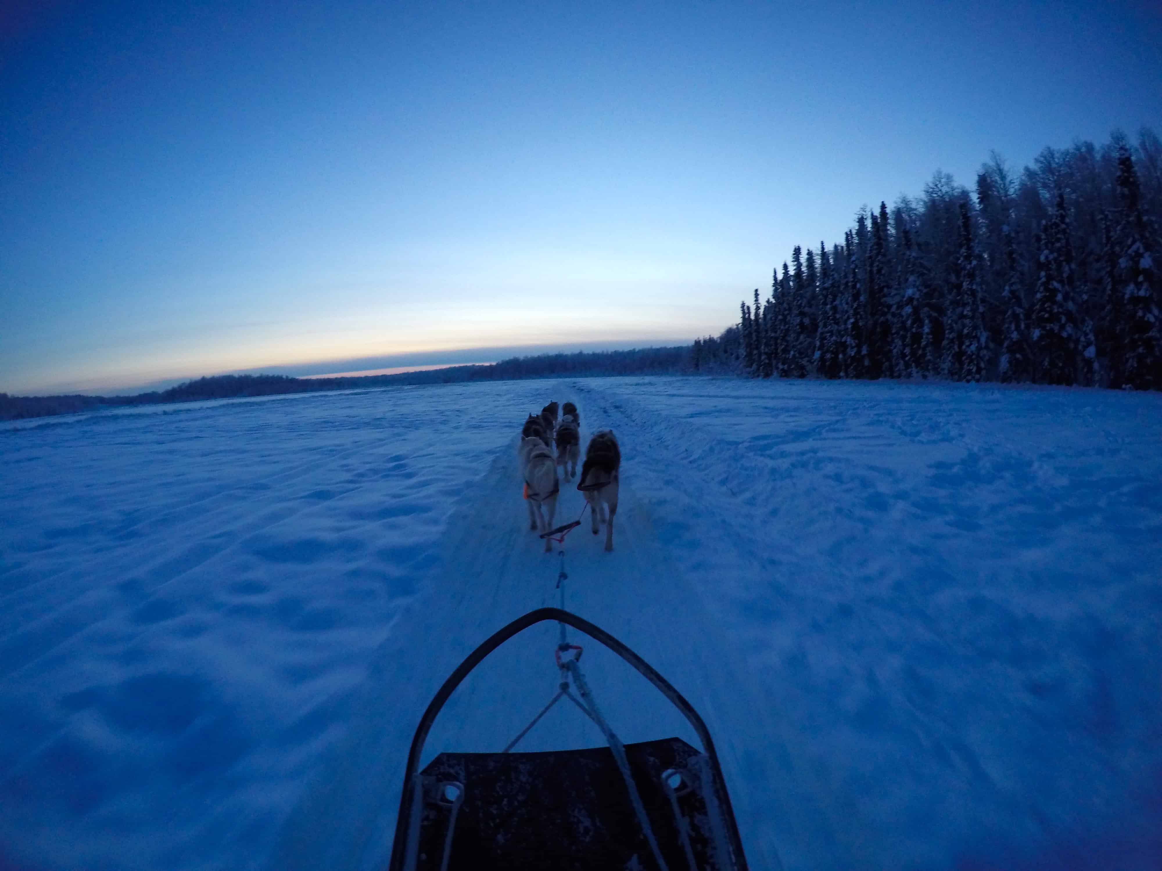 dog sled sunset pictures of alaska