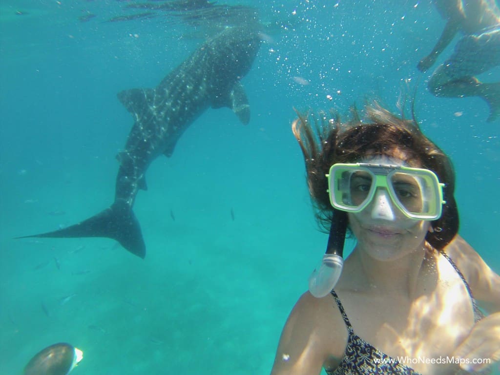 Jenn with Whale Sharks - Philippines