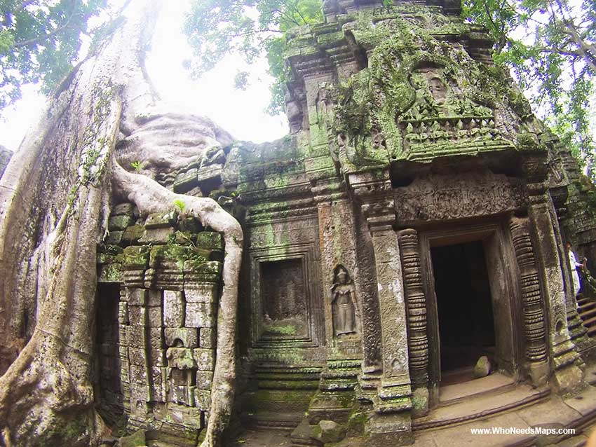 Ta Prohm Temple - Angkor Wat pictures 
