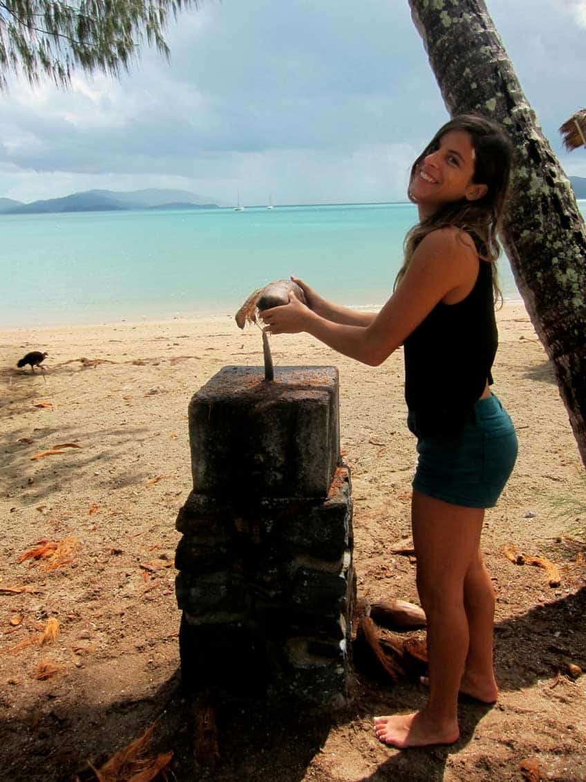 hamilton-island-travel-coconut-